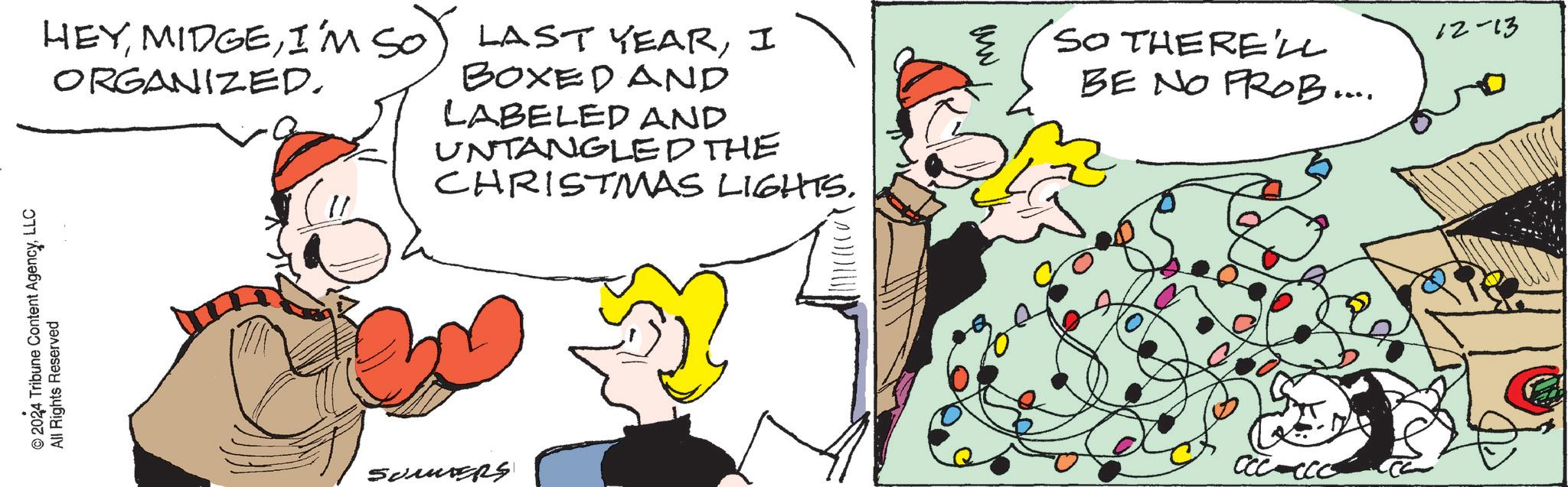 Animation OCR: © 2024 Tribune Content AgencyLLC All Rights Reserved HEYI ORGANIZED. BOXED AND LABELED AND UNTANGLED THE CHRISTMAS LIGHTS. ?? SO THERE'LL BE NO PROB.... Somers 12-13 © 2024 Tribune Content AgencyLLC All Rights Reserved HEYI'M SO LAST YEARI ORGANIZED . BOXED AND LABELED AND UNTANGLED THE CHRISTMAS LIGHTS . ?? SO THERE'LL BE NO PROB .... Somers 12-13