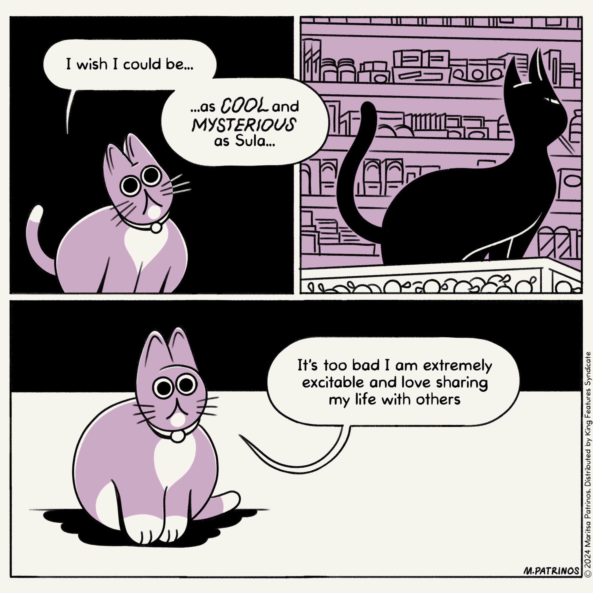 Working Cats - 2024-12-04