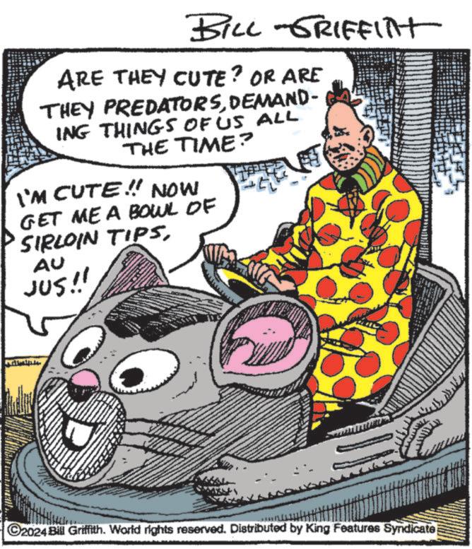 Poster OCR: BILL-GRIFFITH ARE THEY CUTE? OR ARE THEY PREDATORSDEMAND- ING THINGS OF US ALL THE TIME? I'M CUTE!! NOW GET ME A BOWL OF SIRLOIN TIPSAU JUS!! ©2024 Bill Griffith. World rights reserved. Distributed by King Features Syndicate BILL - GRIFFITH ARE THEY CUTE ? OR ARE THEY PREDATORSDEMAND- ING THINGS OF US ALL THE TIME ? I'M CUTE !! NOW GET ME A BOWL OF SIRLOIN TIPSAU JUS !! © 2024 Bill Griffith . World rights reserved . Distributed by King Features Syndicate