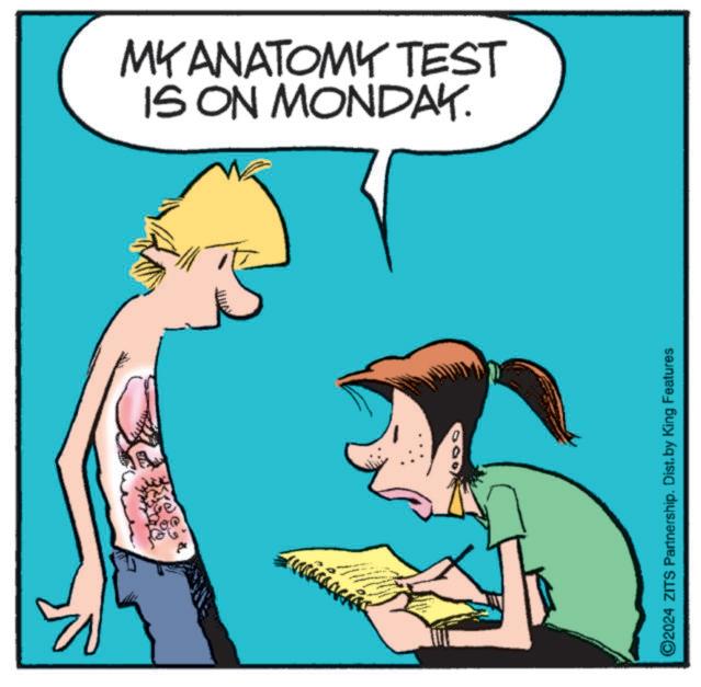 Font OCR: IS ON MONDAY. MKANATOMY TEST ©2024 ZITS Partnership. Dist. by King Features IS ON MONDAY . MKANATOMY TEST © 2024 ZITS Partnership . Dist . by King Features