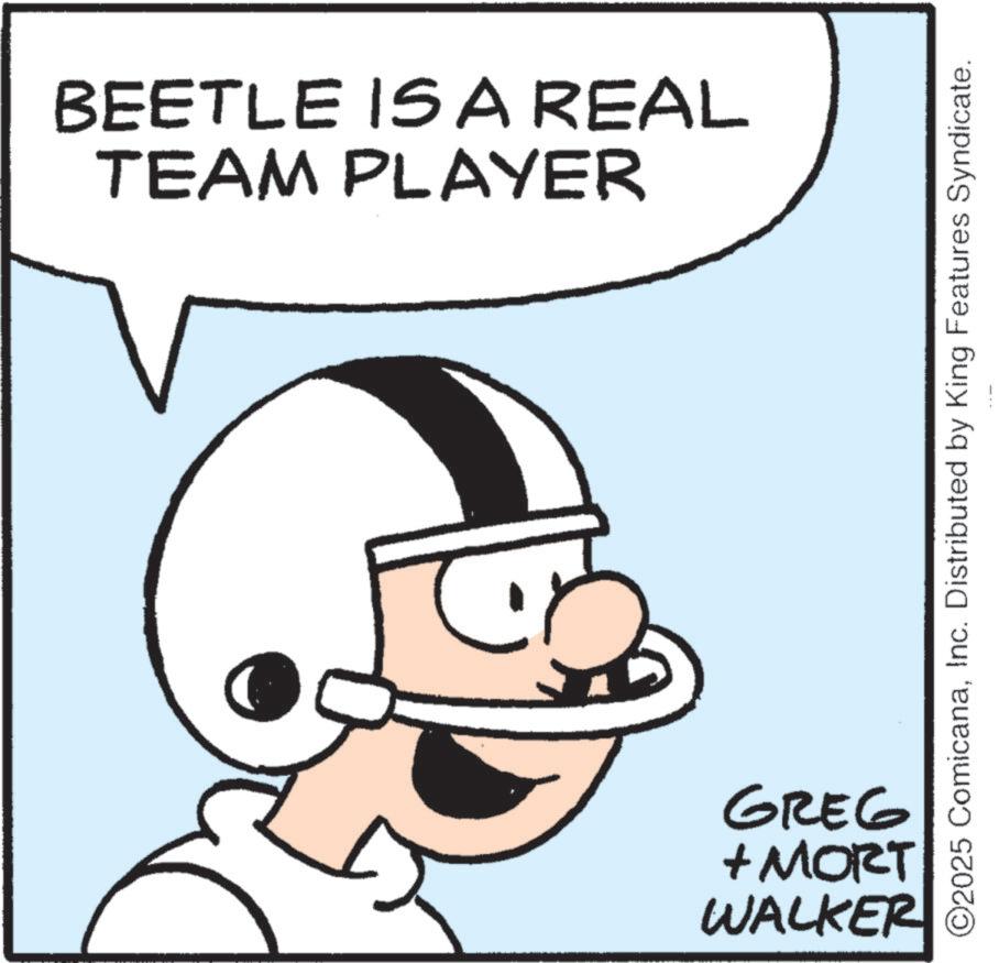 Humour OCR: BEETLE IS A REAL TEAM PLAYER ©2025 ComicanaInc. Distributed by King Features Syndicate. GREG + MORT WALKER BEETLE IS A REAL TEAM PLAYER © 2025 ComicanaInc. Distributed by King Features Syndicate . GREG + MORT WALKER