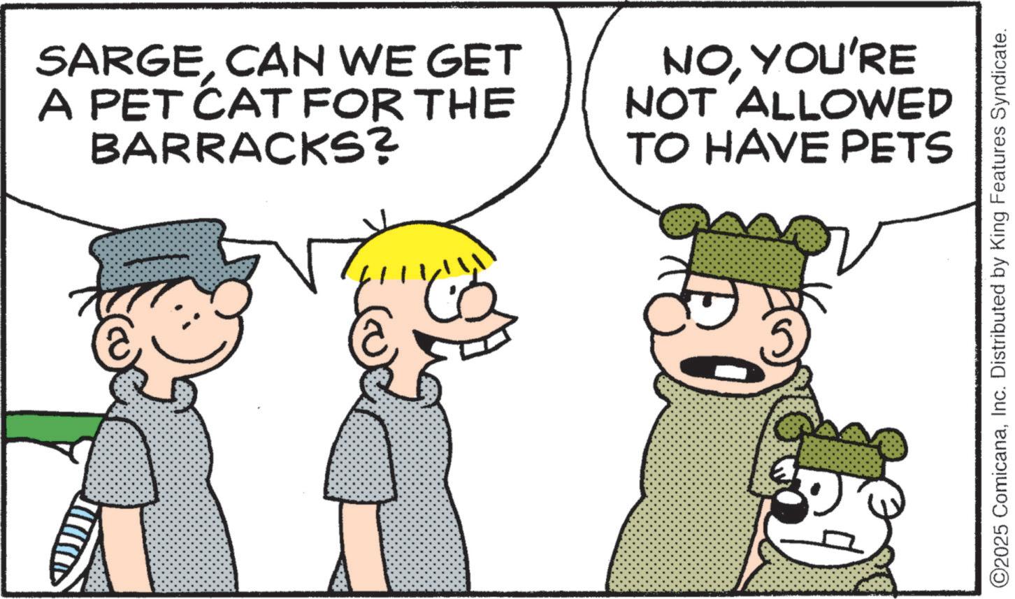 Animated cartoon OCR: (@ SARGECAN WE GET A PET CAT FOR THE BARRACKS? NOYOU'RE NOT ALLOWED TO HAVE PETS ©2025 ComicanaInc. Distributed by King Features Syndicate. ( @ SARGECAN WE GET A PET CAT FOR THE BARRACKS ? NOYOU'RE NOT ALLOWED TO HAVE PETS © 2025 ComicanaInc. Distributed by King Features Syndicate .