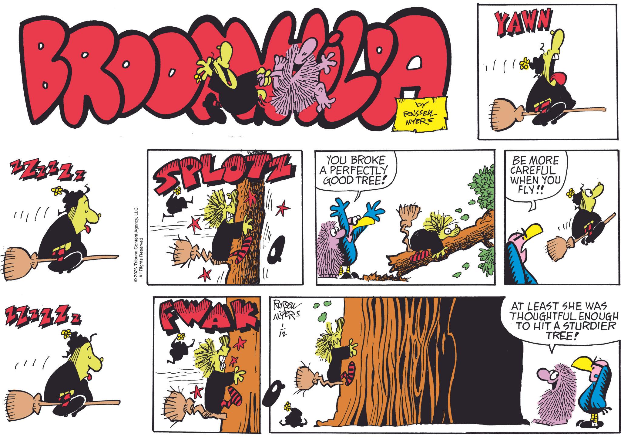 Graphics OCR: ? BROOKHLA by RUSSELL 1732Z = 2025 Tribune Content AgencyLLC All Rights Reserved SPLOTT YOU BROKE A PERFECTLY GOOD TREE! YAWN 11183 BE MORE CAREFUL WHEN YOU FLY!! ? RUSSEN MYER 12 AT LEAST SHE WAS THOUGHTFUL ENOUGH TO HIT A STURDIER TREE! ? BROOKHLA by RUSSELL 1732Z = 2025 Tribune Content AgencyLLC All Rights Reserved SPLOTT YOU BROKE A PERFECTLY GOOD TREE ! YAWN 11183 BE MORE CAREFUL WHEN YOU FLY !! ? RUSSEN MYER 12 AT LEAST SHE WAS THOUGHTFUL ENOUGH TO HIT A STURDIER TREE !