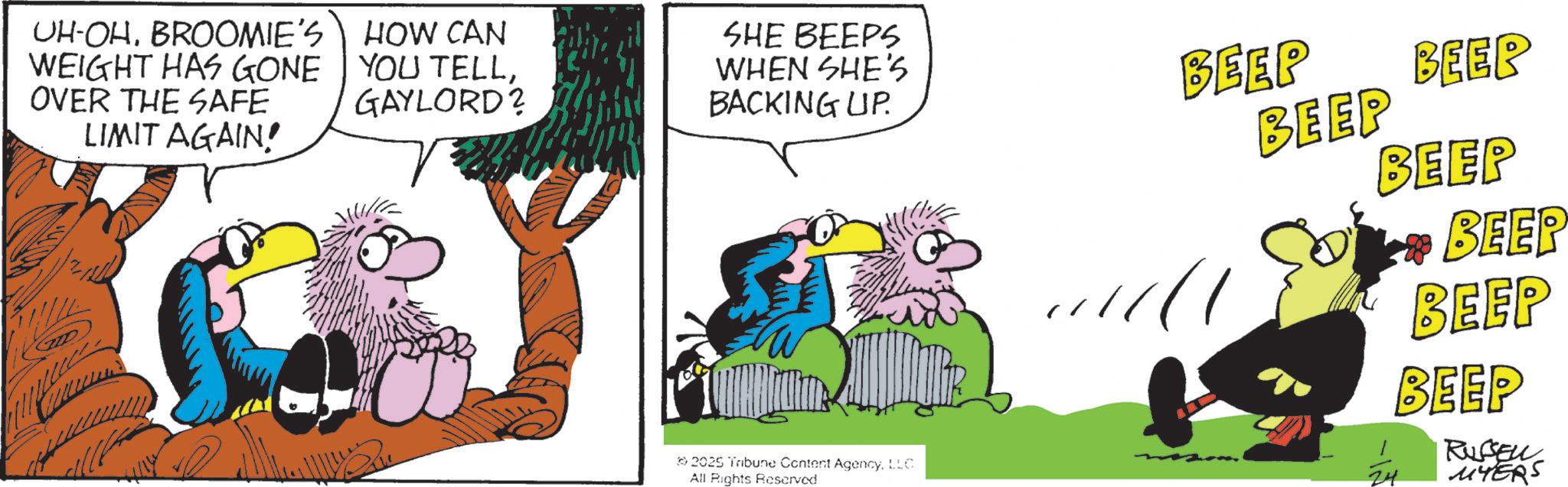Comic book OCR: UH-OHBROOMIE'S WEIGHT HAS GONE OVER THE SAFE LIMIT AGAIN! HOW CAN YOU TELLGAYLORD? SHE BEEPS WHEN SHE'S BACKING UP. BEEP BEEP BEEP BEEP BEEP BEEP 2025 Tribune Content AgencyLLC All Rights Reserved 24 BEEP RUSSEL MYERS UH - OHBROOMIE'S WEIGHT HAS GONE OVER THE SAFE LIMIT AGAIN ! HOW CAN YOU TELLGAYLORD ? SHE BEEPS WHEN SHE'S BACKING UP . BEEP BEEP BEEP BEEP BEEP BEEP 2025 Tribune Content AgencyLLC All Rights Reserved 24 BEEP RUSSEL MYERS