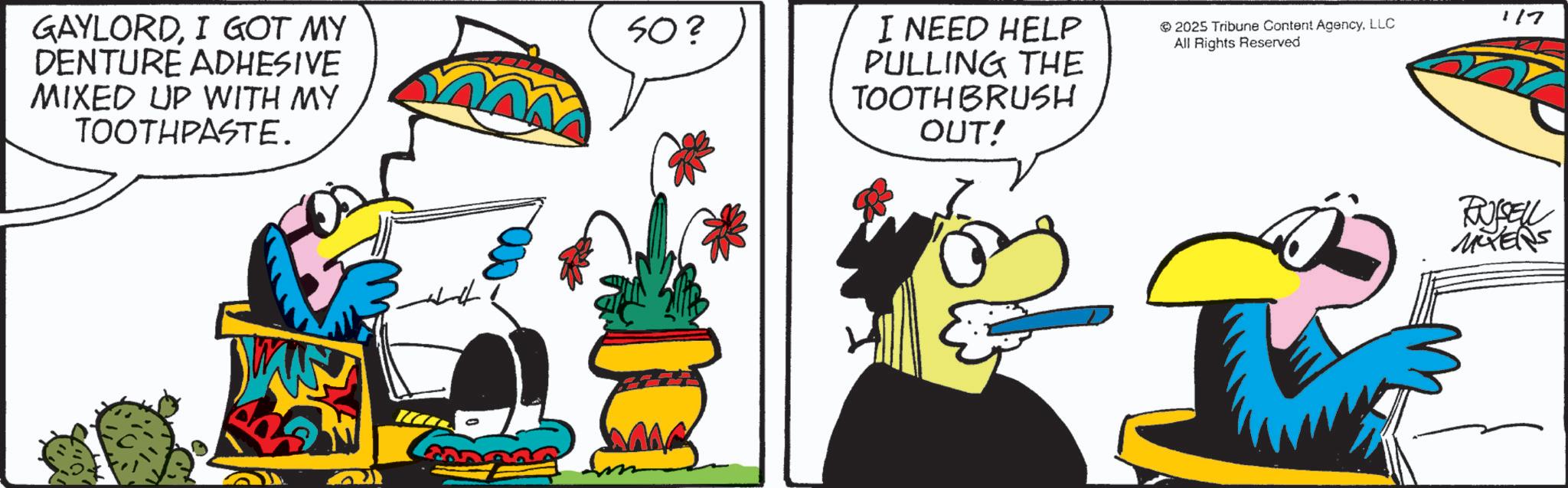 Graphics OCR: GAYLORDI GOT MY DENTURE ADHESIVE MIXED UP WITH MY TOOTHPASTE. ????? 50? I NEED HELP PULLING THE TOOTHBRUSH OUT! 2025 Tribune Content AgencyLLC All Rights Reserved 117 RUSSELL MYERS GAYLORDI GOT MY DENTURE ADHESIVE MIXED UP WITH MY TOOTHPASTE . ????? 50 ? I NEED HELP PULLING THE TOOTHBRUSH OUT ! 2025 Tribune Content AgencyLLC All Rights Reserved 117 RUSSELL MYERS