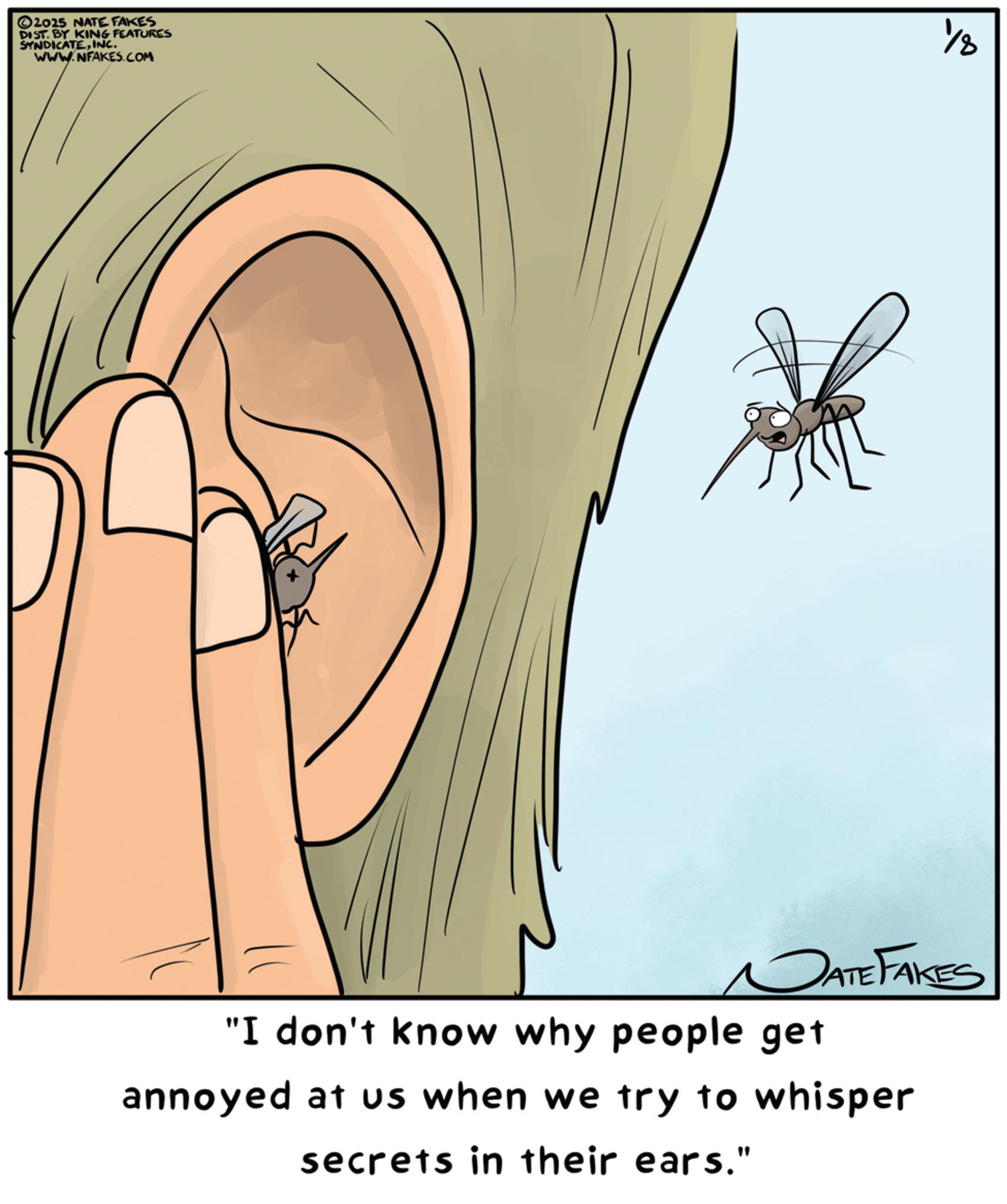 Parasitism OCR: 2025 NATE FAKES DIST. BY KING FEATURES SYNDICATEINC. WWW.NFAKES.COM DATE FAKES "I don't know why people get annoyed at us when we try to whisper secrets in their ears." 2025 NATE FAKES DIST . BY KING FEATURES SYNDICATEINC . WWW.NFAKES.COM DATE FAKES " I don't know why people get annoyed at us when we try to whisper secrets in their ears . "
