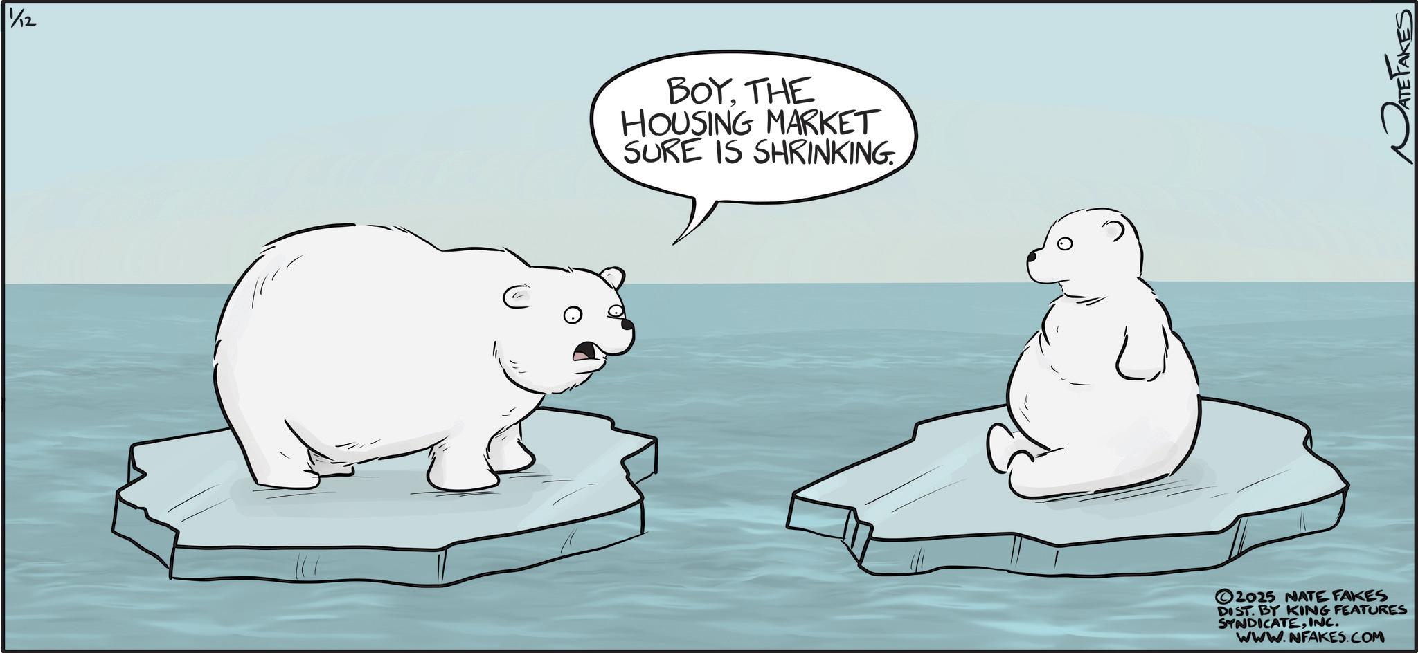 Ice OCR: 1/12 BOYTHE HOUSING MARKET SURE IS SHRINKING. 2025 NATE FAKES DIST. BY KING FEATURES SYNDICATEINC. www.NFAKES.COM ATE 1/12 BOYTHE HOUSING MARKET SURE IS SHRINKING . 2025 NATE FAKES DIST . BY KING FEATURES SYNDICATEINC . www.NFAKES.COM ATE