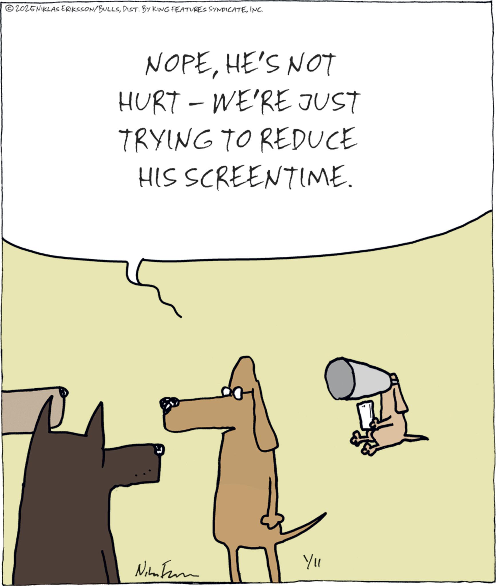 Animated cartoon OCR: 2025NIKLAS ERIKSSON/BULLSINC. NOPEHE'S NOT HURT - WE'RE JUST TRYING TO REDUCE HIS SCREENTIME. Yl Nim Farm 2025NIKLAS ERIKSSON / BULLSDIST . BY KING FEATURES SYNDICATEINC . NOPEHE'S NOT HURT - WE'RE JUST TRYING TO REDUCE HIS SCREENTIME . Yl Nim Farm