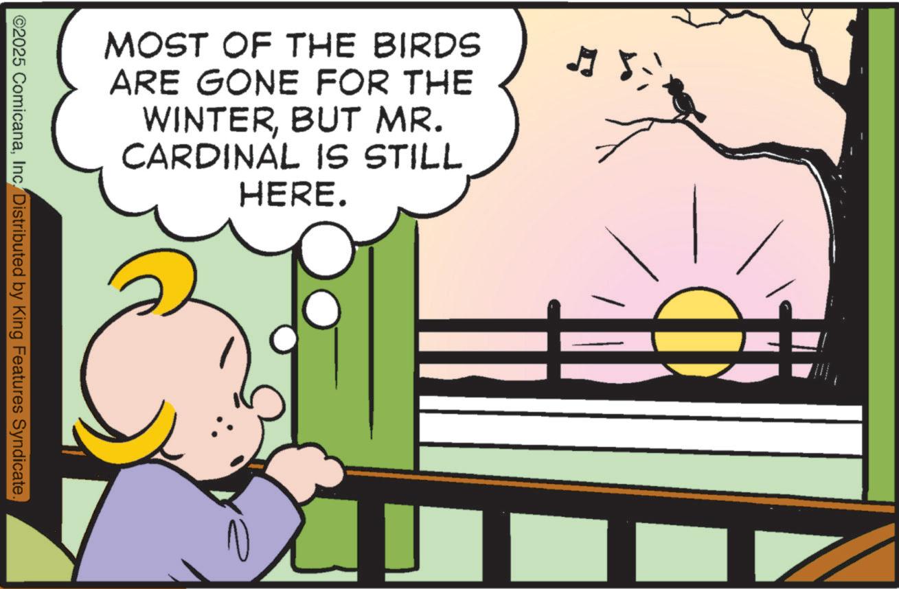 Graphics OCR: MOST OF THE BIRDS ARE GONE FOR THE WINTERBUT MR. CARDINAL IS STILL HERE. J ©2025 ComicanaInc. Distributed by King Features Syndicate. MOST OF THE BIRDS ARE GONE FOR THE WINTERBUT MR . CARDINAL IS STILL HERE . J © 2025 ComicanaInc. Distributed by King Features Syndicate .