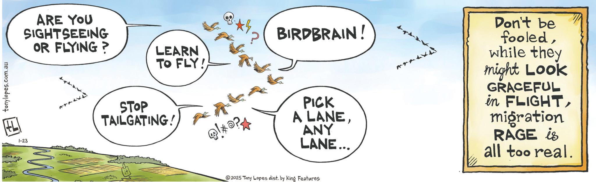 Animation OCR: tonylopes.com.au 1-23 ARE YOU SIGHTSEEING OR FLYING? LEARN TO FLY! STOP TAILGATING! I p b p t v BIRDBRAIN! PICK A LANEANY LANE... Don't be fooledwhile they might Look GRACEFUL in FLIGHTmigration RAGE is all too real. 2025 Tony Lopes dist. by King Features tonylopes.com.au 1-23 ARE YOU SIGHTSEEING OR FLYING ? LEARN TO FLY ! STOP TAILGATING ! I p b p t v BIRDBRAIN ! PICK A LANEANY LANE ... Don't be fooledwhile they might Look GRACEFUL in FLIGHTmigration RAGE is all too real . 2025 Tony Lopes dist . by King Features