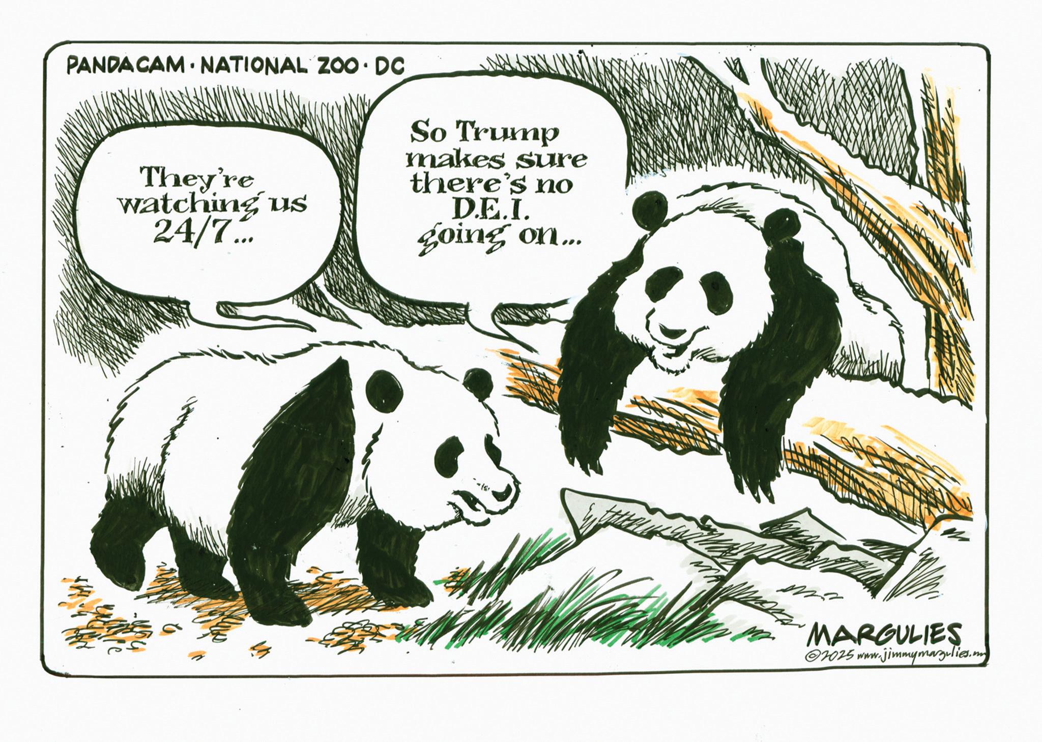 Fiction OCR: PANDACAM NATIONAL ZOO DC They're watching us 24/7... So Trump makes sure there's no D.E.I. going on... MARGULIES 2025 www.jimmymargulies.m PANDACAM NATIONAL ZOO DC They're watching us 24/7 ... So Trump makes sure there's no D.E.I. going on ... MARGULIES 2025 www.jimmymargulies.m