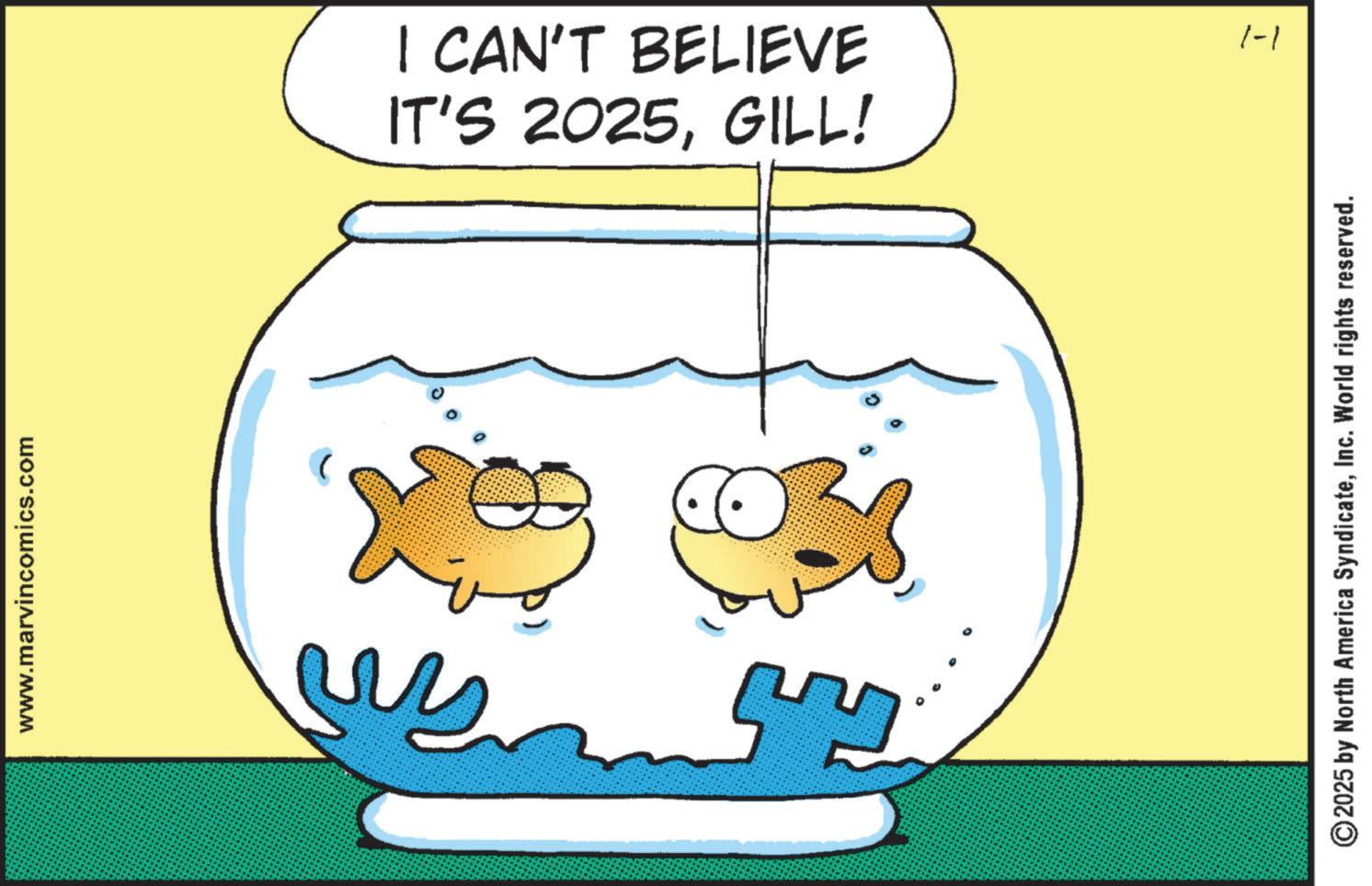 Clip art OCR: www.marvincomics.com IT'S 2025GILL! I CAN'T BELIEVE 1-1 ©2025 by North America SyndicateInc. World rights reserved. www.marvincomics.com IT'S 2025GILL ! I CAN'T BELIEVE 1-1 © 2025 by North America SyndicateInc. World rights reserved .