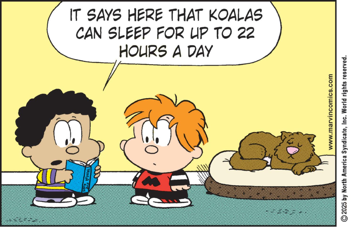 Fictional character OCR: IT SAYS HERE THAT KOALAS CAN SLEEP FOR UP TO 22 HOURS A DAY TRIVIA KIDS www.marvincomics.com 2025 by North America SyndicateInc. World rights reserved. IT SAYS HERE THAT KOALAS CAN SLEEP FOR UP TO 22 HOURS A DAY TRIVIA KIDS www.marvincomics.com 2025 by North America SyndicateInc. World rights reserved .