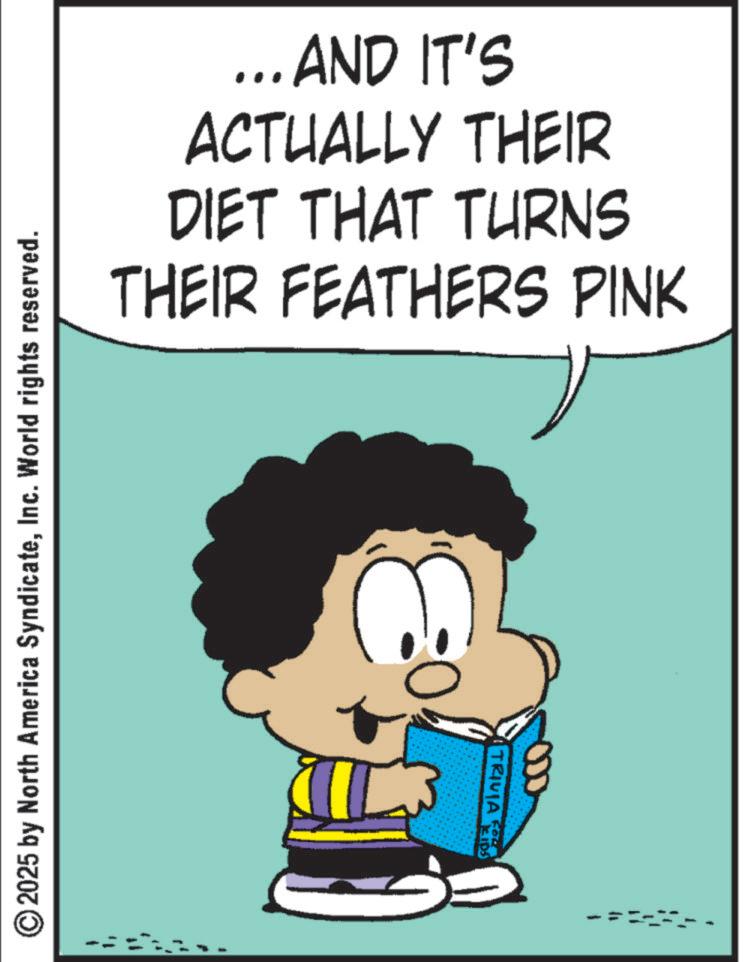 Gesture OCR: © 2025 by North America SyndicateInc. World rights reserved. ... AND IT'S ACTUALLY THEIR DIET THAT TURNS THEIR FEATHERS PINK 000 TRIVIA S © 2025 by North America SyndicateInc. World rights reserved . ... AND IT'S ACTUALLY THEIR DIET THAT TURNS THEIR FEATHERS PINK 000 TRIVIA S