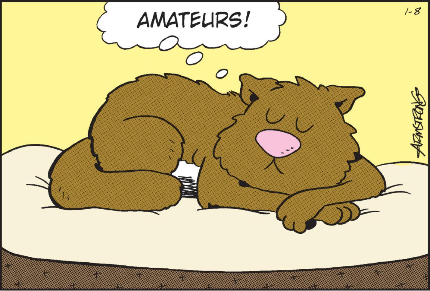 Paw OCR: AMATEURS! ? 1-8 Preuswan AMATEURS ! ? 1-8 Preuswan