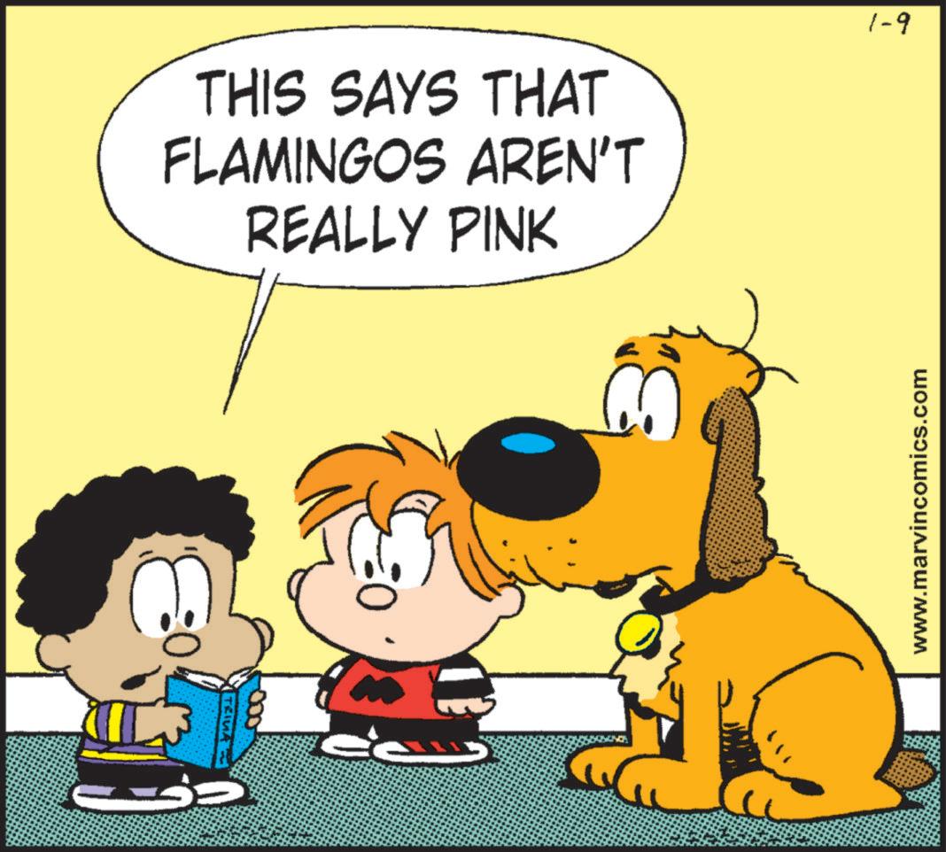 Pleased OCR: THIS SAYS THAT FLAMINGOS AREN'T REALLY PINK 1-9 TRIMA ?? www.marvincomics.com THIS SAYS THAT FLAMINGOS AREN'T REALLY PINK 1-9 TRIMA ?? www.marvincomics.com
