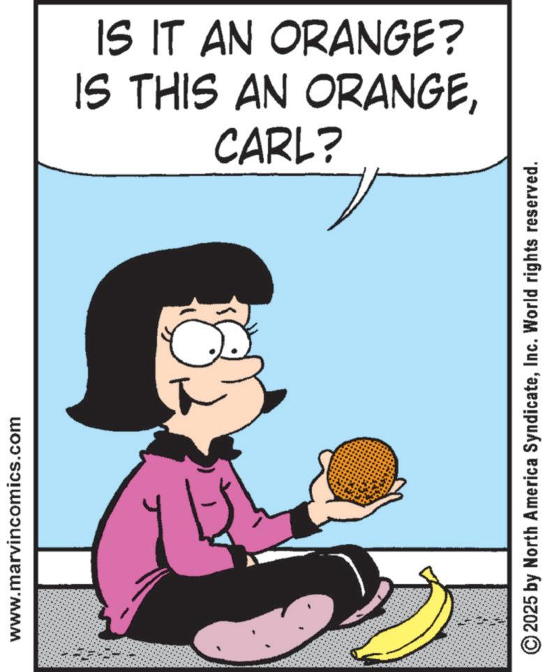 Fictional character OCR: www.marvincomics.com IS THIS AN ORANGEIS IT AN ORANGE? CARL? © 2025 by North America SyndicateInc. World rights reserved. www.marvincomics.com IS THIS AN ORANGEIS IT AN ORANGE ? CARL ? © 2025 by North America SyndicateInc. World rights reserved .