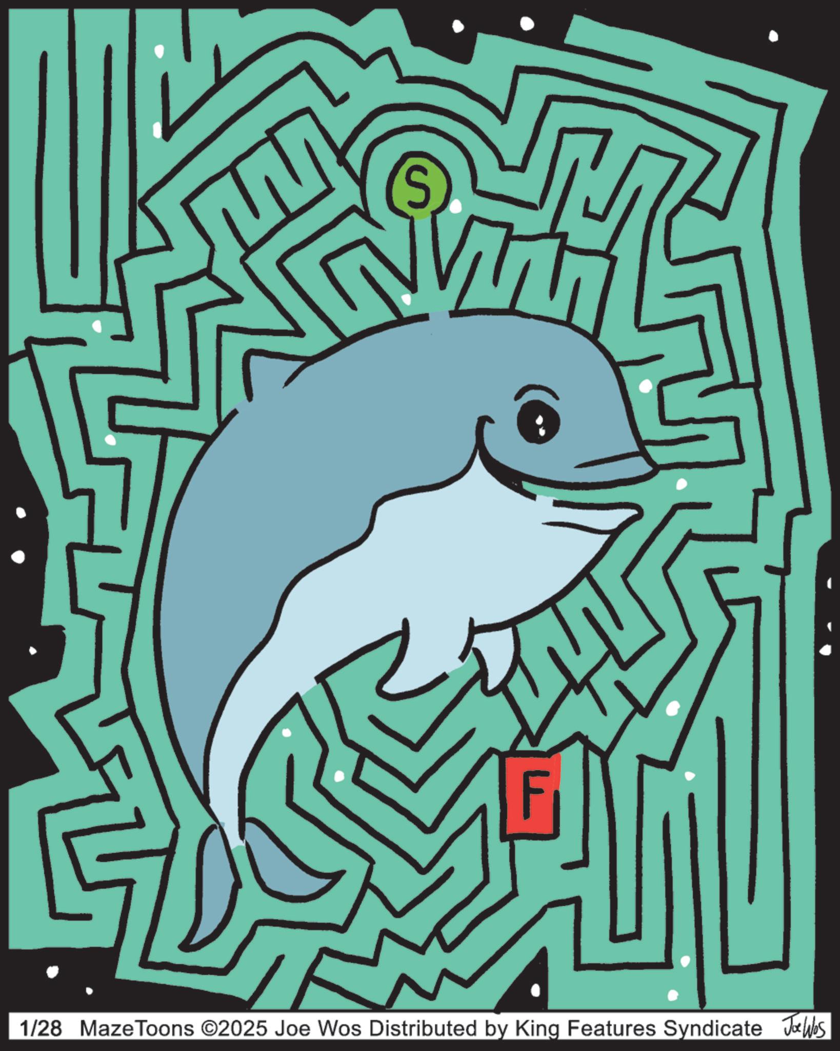 Dolphin OCR: S 1/28 MazeToons ©2025 Joe Wos Distributed by King Features Syndicate Joe Wbs S 1/28 MazeToons © 2025 Joe Wos Distributed by King Features Syndicate Joe Wbs