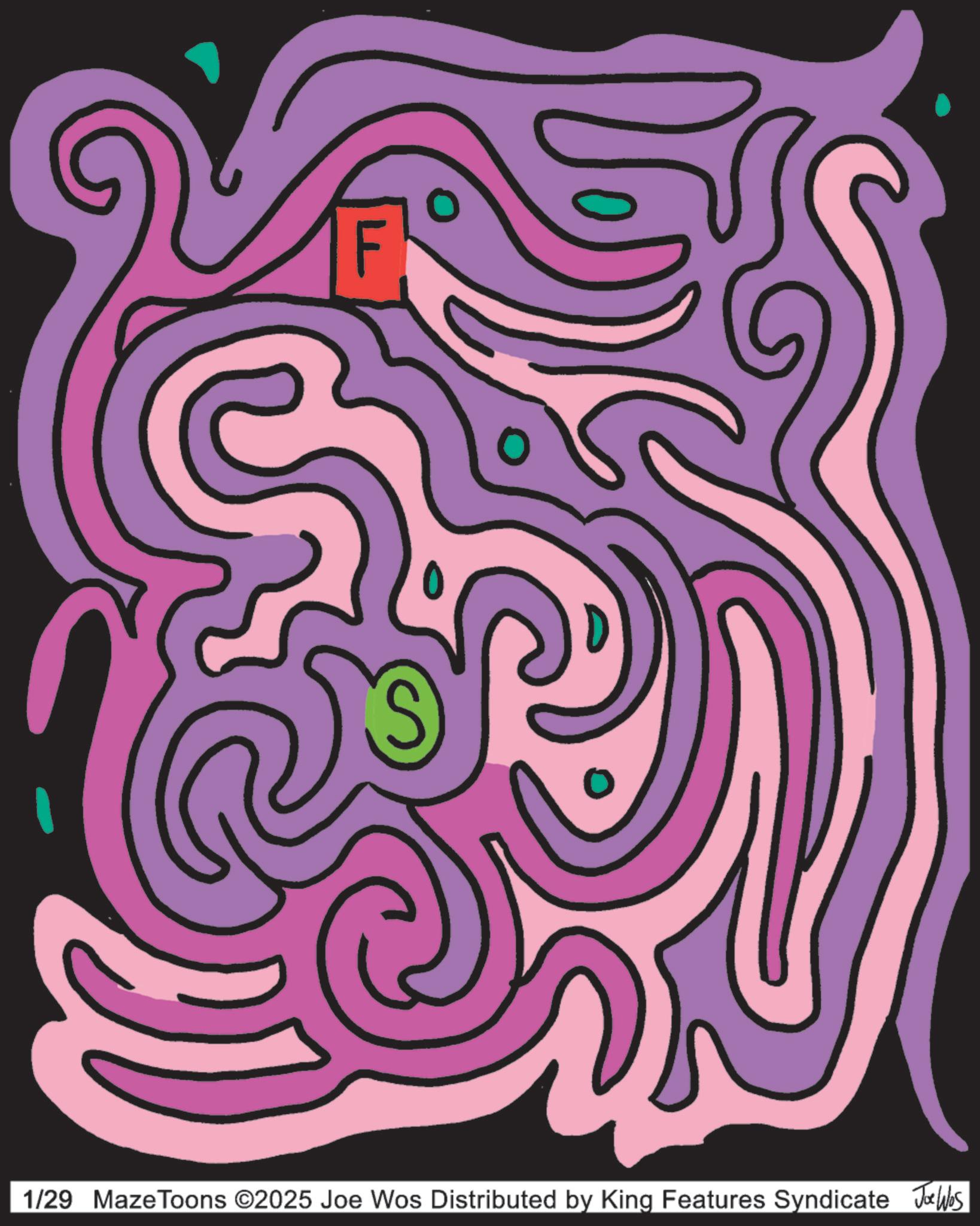 Labyrinth OCR: 1/29 Maze Toons ©2025 Joe Wos Distributed by King Features Syndicate Joe Was 1/29 Maze Toons © 2025 Joe Wos Distributed by King Features Syndicate Joe Was