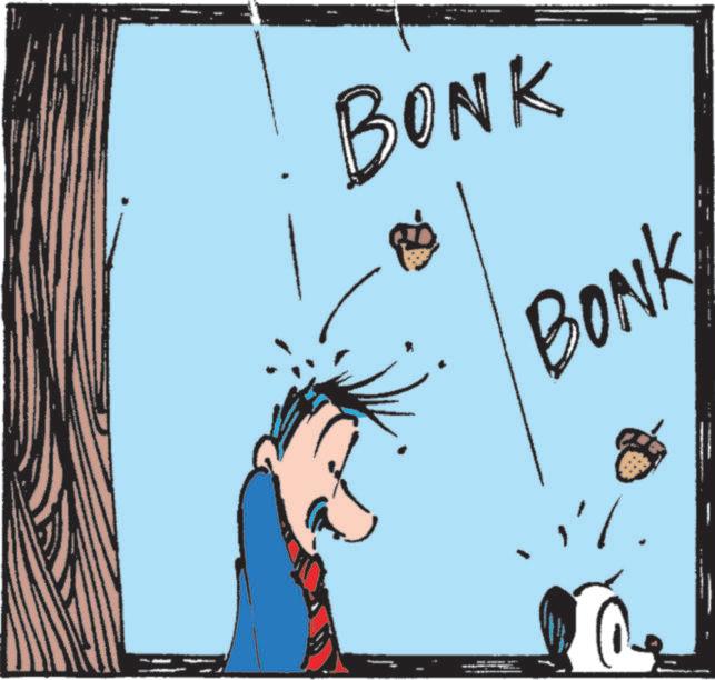 Fiction OCR: BONK BONK BONK BONK