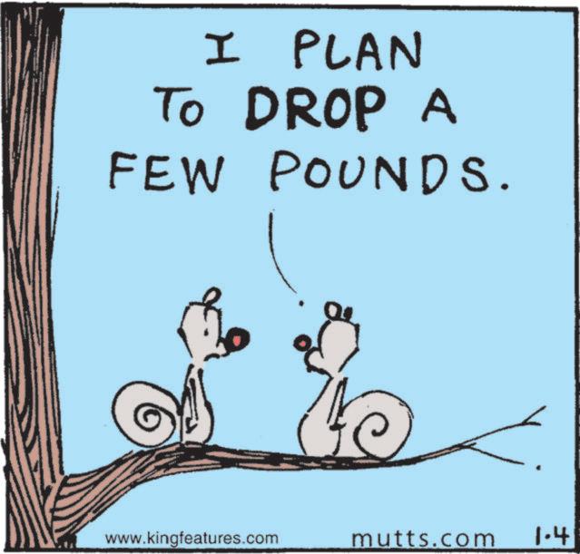 Photo caption OCR: I PLAN TO DROP A FEW POUNDS. www.kingfeatures.com mutts.com 1.4 I PLAN TO DROP A FEW POUNDS . www.kingfeatures.com mutts.com 1.4