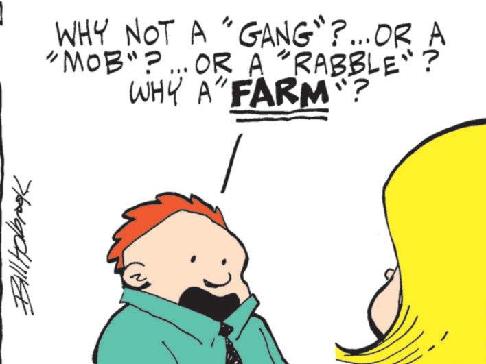 Humour OCR: Bill Holbrook WHY NOT A " GANG"?...OR A "MOB"?... OR A "RABBLE"? WHY A" FARM? Bill Holbrook WHY NOT A " GANG " ? ... OR A " MOB " ? ... OR A " RABBLE " ? WHY A " FARM ?