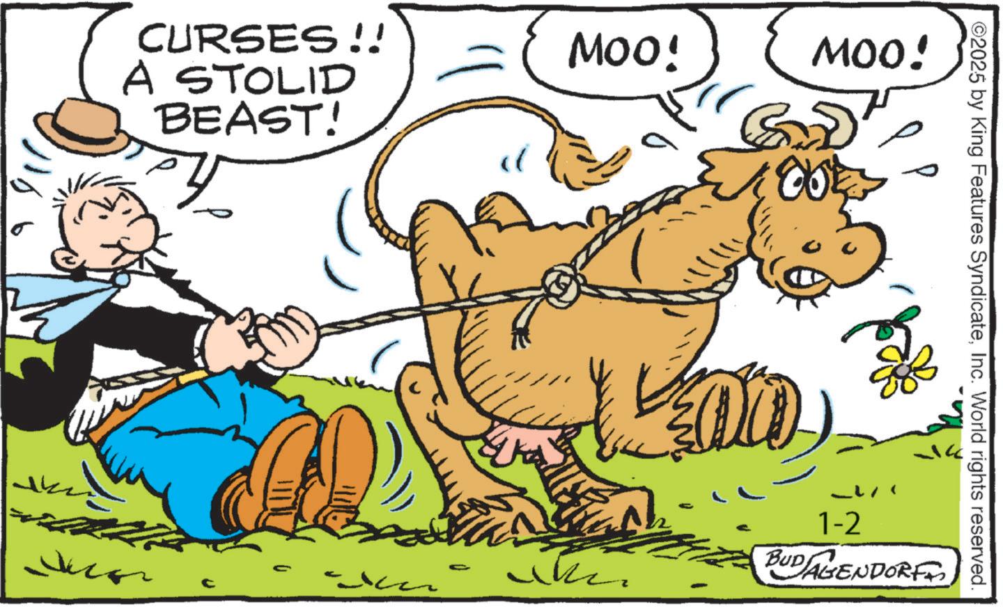 Mane OCR: s CURSES!! A STOLID BEAST! MOO! & MOO! ©2025 by King Features SyndicateInc. World rights reserved. 1-2 BUD AGENDORF s CURSES !! A STOLID BEAST ! MOO ! & MOO ! © 2025 by King Features SyndicateInc. World rights reserved . 1-2 BUD AGENDORF