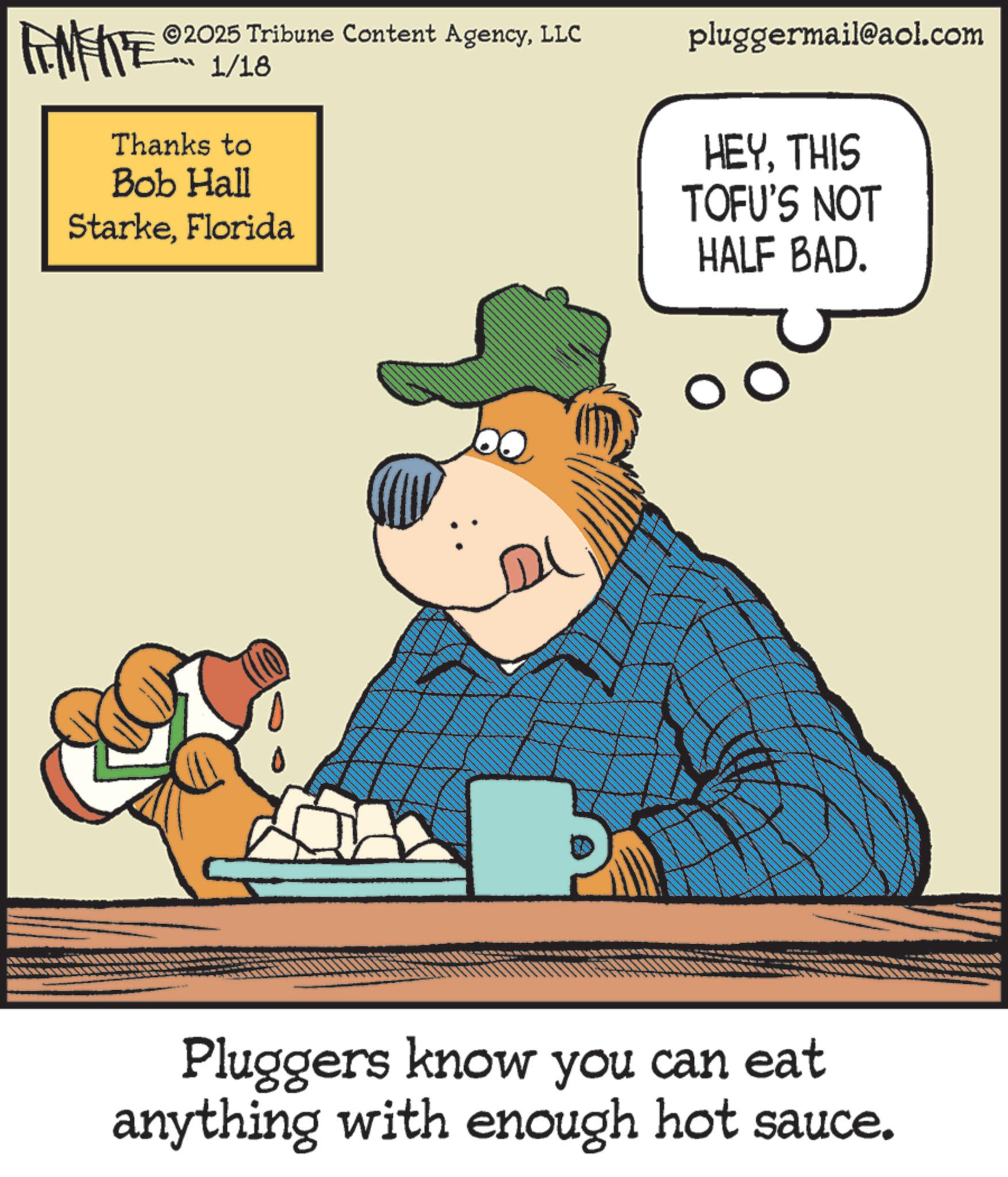 Fiction OCR: FENFITE 2025 Tribune Content AgencyLLC ??? 1/18 Thanks to Bob Hall StarkeFlorida DL pluggermail@aol.com HEYTHIS TOFU'S NOT HALF BAD. 0 Pluggers know you can eat anything with enough hot sauce. FENFITE 2025 Tribune Content AgencyLLC ?? ? 1/18 Thanks to Bob Hall StarkeFlorida DL pluggermail@aol.com HEYTHIS TOFU'S NOT HALF BAD . 0 Pluggers know you can eat anything with enough hot sauce .
