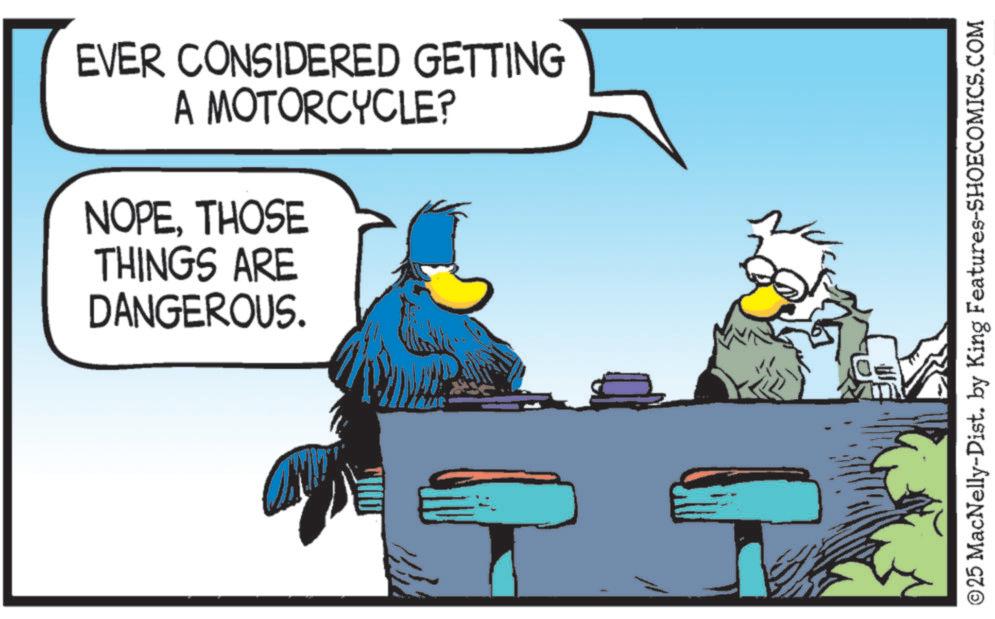 Photo caption OCR: EVER CONSIDERED GETTING A MOTORCYCLE? NOPETHOSE THINGS ARE DANGEROUS. ©25 MacNelly-Dist. by King Features-SHOECOMICS.COM EVER CONSIDERED GETTING A MOTORCYCLE ? NOPETHOSE THINGS ARE DANGEROUS . © 25 MacNelly - Dist . by King Features-SHOECOMICS.COM
