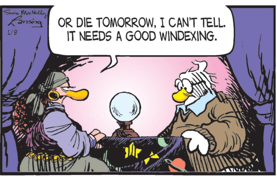 Bird OCR: Susie MacNelly Lansing OR DIE TOMORROWI CAN'T TELL. IT NEEDS A GOOD WINDEXING. 1/8 Susie MacNelly Lansing OR DIE TOMORROWI CAN'T TELL . IT NEEDS A GOOD WINDEXING . 1/8