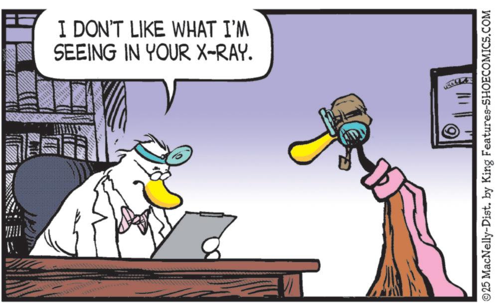 Fictional character OCR: I DON'T LIKE WHAT I'M SEEING IN YOUR X-RAY. © 25 MacNelly-Dist. by King Features-SHOECOMICS.COM I DON'T LIKE WHAT I'M SEEING IN YOUR X - RAY . © 25 MacNelly - Dist . by King Features-SHOECOMICS.COM