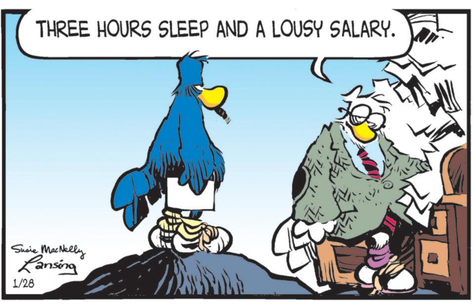 Flightless bird OCR: THREE HOURS SLEEP AND A LOUSY SALARY. Susie MacNelly Ransing 1/28 THREE HOURS SLEEP AND A LOUSY SALARY . Susie MacNelly Ransing 1/28