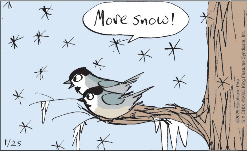 Feather OCR: 1/25 * More Snow! * * * ©2025 Stephanie Piro SIX CHIX ©2025 King Features SyndicateInc. 1/25 * More Snow ! * * * © 2025 Stephanie Piro SIX CHIX © 2025 King Features Syndicate