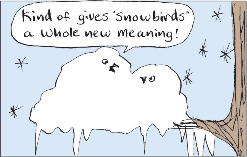 Line art OCR: Kind of gives "Snowbirds a whole new meaning! * ?? Kind of gives " Snowbirds a whole new meaning ! * ??