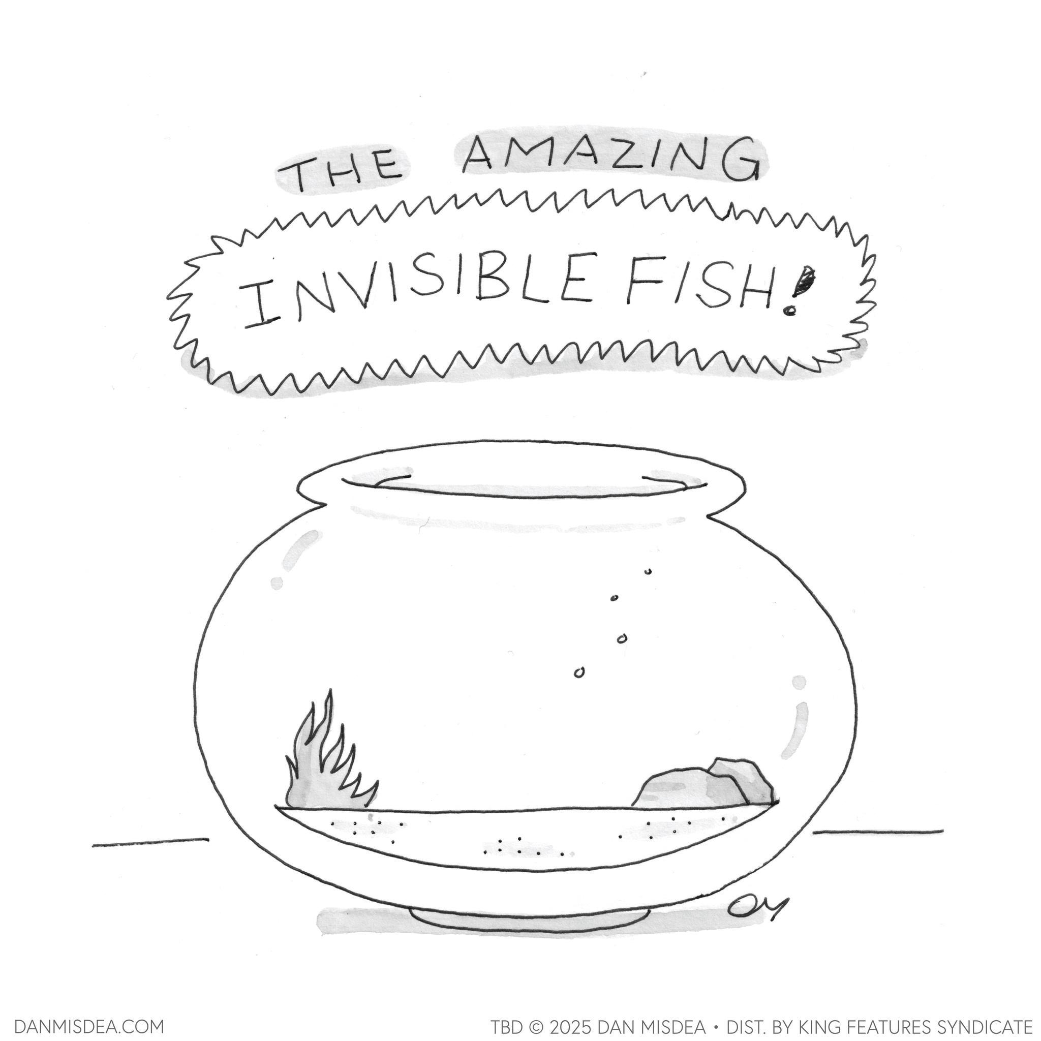 Fish OCR: THE AMAZING ? INVISIBLE FISH! 0 DANMISDEA.COM TBD 2025 DAN MISDEA • DIST. BY KING FEATURES SYNDICATE THE AMAZING ? INVISIBLE FISH ! 0 DANMISDEA.COM TBD 2025 DAN MISDEA • DIST . BY KING FEATURES SYNDICATE