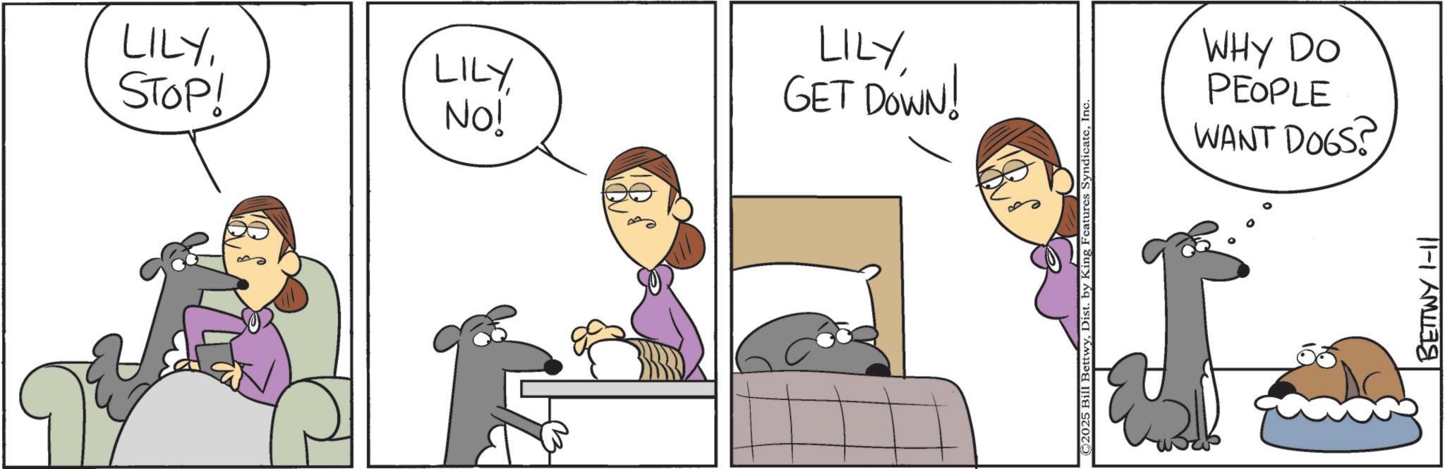 Comic book OCR: LILYSTOP! LILY No! GET DOWN! LILYInc. WANT DOGS? PEOPLE WHY DO BETTWY 1-11 LILYSTOP ! LILY No ! GET DOWN ! LILY© 2025 Bill BettwyDist . by King Features SyndicateInc. WANT DOGS ? PEOPLE WHY DO BETTWY 1-11