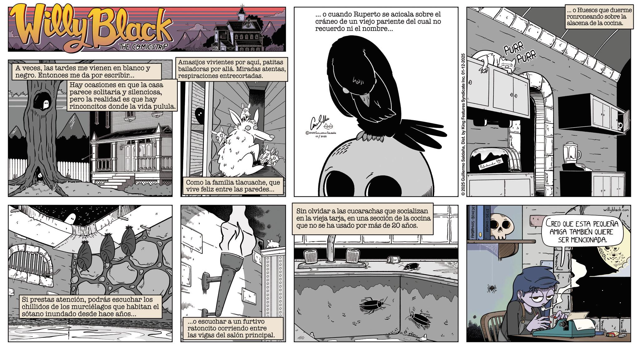 Graphic design OCR: Willy Black THE COMICSTRIP A veceslas tardes me vienen en blanco y negro. Entonces me da por escribir... Hay ocasiones en que la casa parece solitaria y silenciosapero la realidad es que hay rinconcitos donde la vida pulula. 10000 AARA Amasijos vivientes por aquípatitas bailadoras por allá. Miradas atentasrespiraciones entrecortadas. M Como la familia tlacuacheque vive feliz entre las paredes... Si prestas atenciónpodrás escuchar los chillidos de los murciélagos que habitan el sótano inundado desde hace años... 7 ...o escuchar a un furtivo ratoncito corriendo entre las vigas del salón principal. o cuando Ruperto se acicala sobre el cráneo de un viejo pariente del cual no recuerdo ni el nombre... 2025 GUILLERMO SALDAÑA 01/2025 Sin olvidar a las cucarachas que socializan en la vieja tarjaen una sección de la cocina que no se ha usado por más de 20 años. ANDAMIOS BENEDE © 2025 Guillermo SaldañaDist. by King Features Syndicate Inc. 01-12-2025 Pabordand PURR PURR ... o Huesos que duerme ronroneando sobre la alacena de la cocina. 00 willyblack.com CREO QUE ESTA PEQUEÑA AMIGA TAMBIÉN QUIERE SER MENCIONADA. Willy Black THE COMICSTRIP A veceslas tardes me vienen en blanco y negro . Entonces me da por escribir ... Hay ocasiones en que la casa parece solitaria y silenciosapero la realidad es que hay rinconcitos donde la vida pulula . 10000 AARA Amasijos vivientes por aquípatitas bailadoras por allá . Miradas atentasrespiraciones entrecortadas . M Como la familia tlacuacheque vive feliz entre las paredes ... Si prestas atenciónpodrás escuchar los chillidos de los murciélagos que habitan el sótano inundado desde hace años ... 7 ... o escuchar a un furtivo ratoncito corriendo entre las vigas del salón principal . o cuando Ruperto se acicala sobre el cráneo de un viejo pariente del cual no recuerdo ni el nombre ... 2025 GUILLERMO SALDAÑA 01/2025 Sin olvidar a las cucarachas que socializan en la vieja tarjaen una sección de la cocina que no se ha usado por más de 20 años . ANDAMIOS BENEDE © 2025 Guillermo SaldañaDist . by King Features Syndicate Inc. 01-12-2025 Pabordand PURR PURR ... o Huesos que duerme ronroneando sobre la alacena de la cocina . 00 willyblack.com CREO QUE ESTA PEQUEÑA AMIGA TAMBIÉN QUIERE SER MENCIONADA .