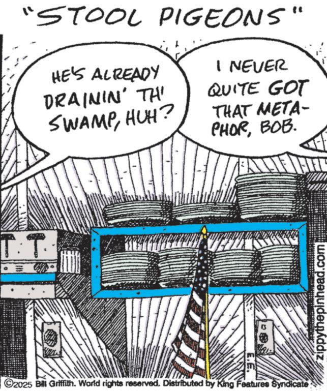Drawing OCR: T·T.. www wwww "STOOL PIGEONS" I NEVER HE'S ALREADY DRAININ' TH' QUITE GOT SWAMPHUH? THAT META- PHORBOB. ©2025 Bill Griffith. World rights reserved. Distributed by King Features Syndicate zippythepinhead.com T · T .. www wwww " STOOL PIGEONS " I NEVER HE'S ALREADY DRAININ ' TH ' QUITE GOT SWAMPHUH ? THAT META- PHORBOB . © 2025 Bill Griffith . World rights reserved . Distributed by King Features Syndicate zippythepinhead.com