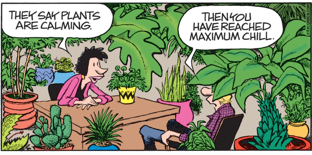Publication OCR: THEY SAY PLANTS ARE CALMING. THEN YOU HAVE REACHED MAXIMUM CHILL. zitscomics.com THEY SAY PLANTS ARE CALMING . THEN YOU HAVE REACHED MAXIMUM CHILL . zitscomics.com