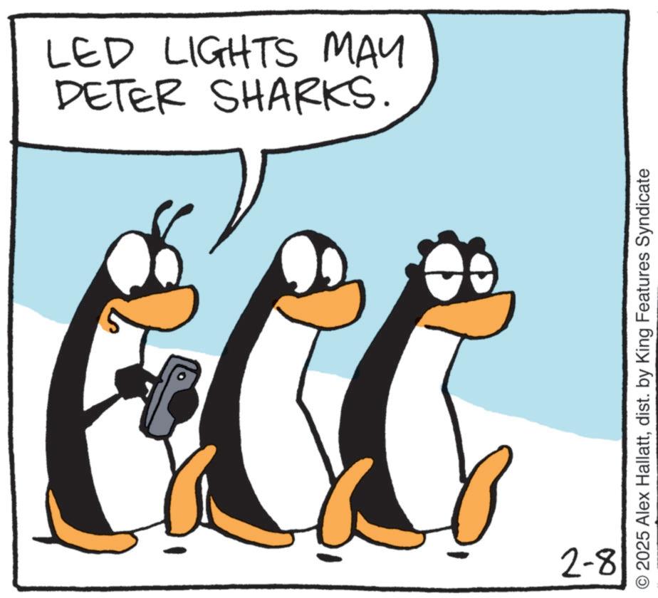 Fiction OCR: DETER SHARKS. LED LIGHTS MAY 2-8 2025 Alex Hallattdist. by King Features Syndicate DETER SHARKS . LED LIGHTS MAY 2-8 2025 Alex Hallattdist . by King Features Syndicate