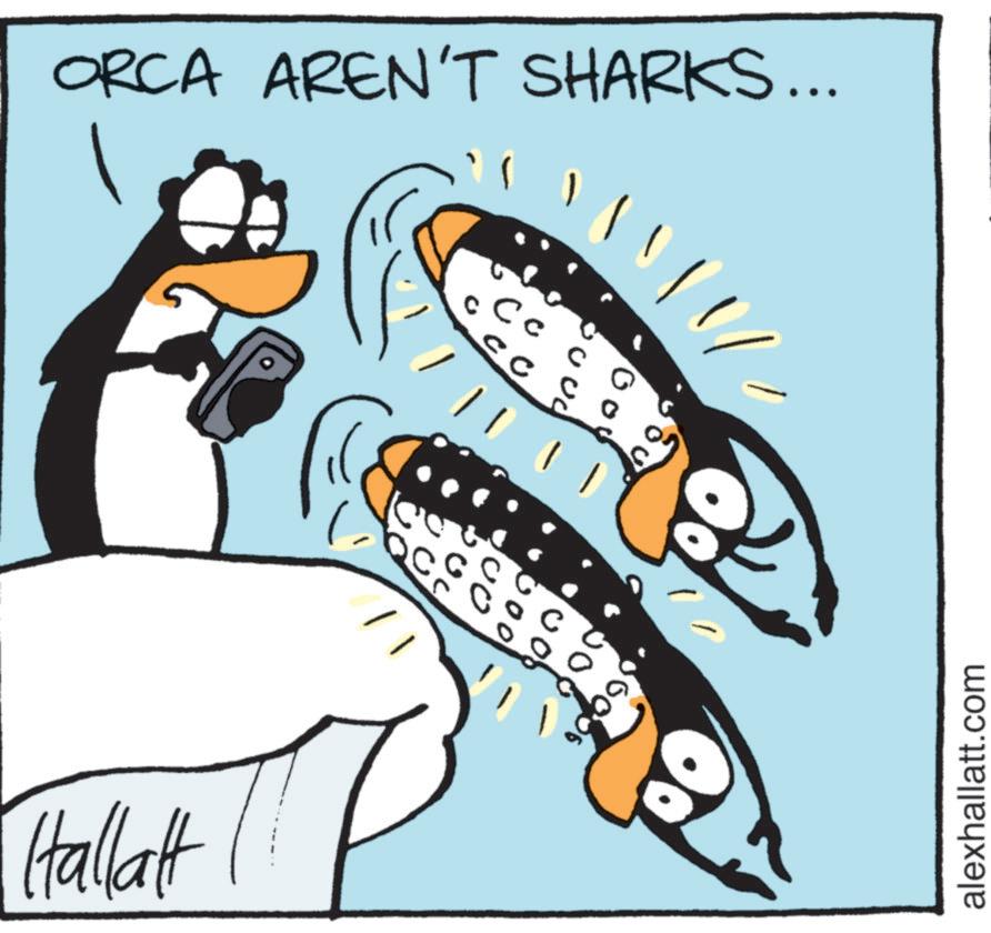 Fin OCR: ORCA AREN'T SHARKS... © C c Hallalt 1004 alexhallatt.com ORCA AREN'T SHARKS ... © C c Hallalt 1004 alexhallatt.com