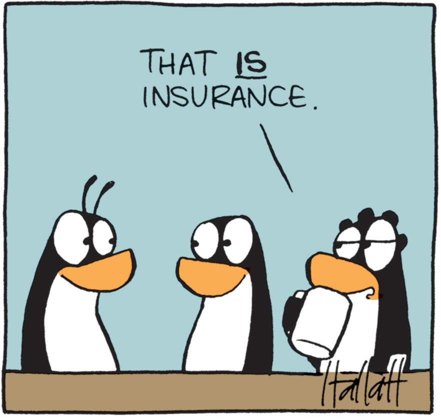 Photo caption OCR: THAT IS INSURANCE. Halalt THAT IS INSURANCE . Halalt