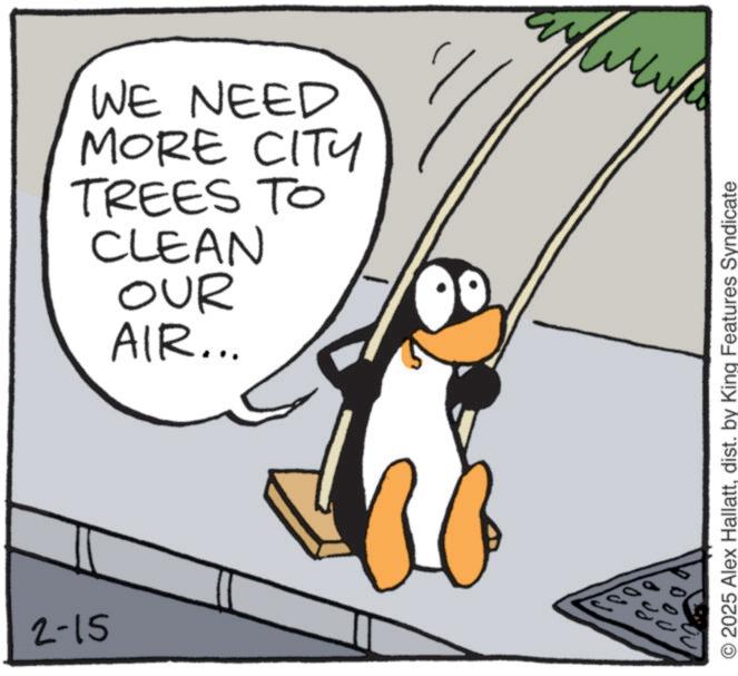Animated cartoon OCR: 2-15 WE NEED MORE CITY TREES TO CLEAN OUR AIR... © 2025 Alex Hallattdist. by King Features Syndicate 2-15 WE NEED MORE CITY TREES TO CLEAN OUR AIR ... © 2025 Alex Hallattdist . by King Features Syndicate