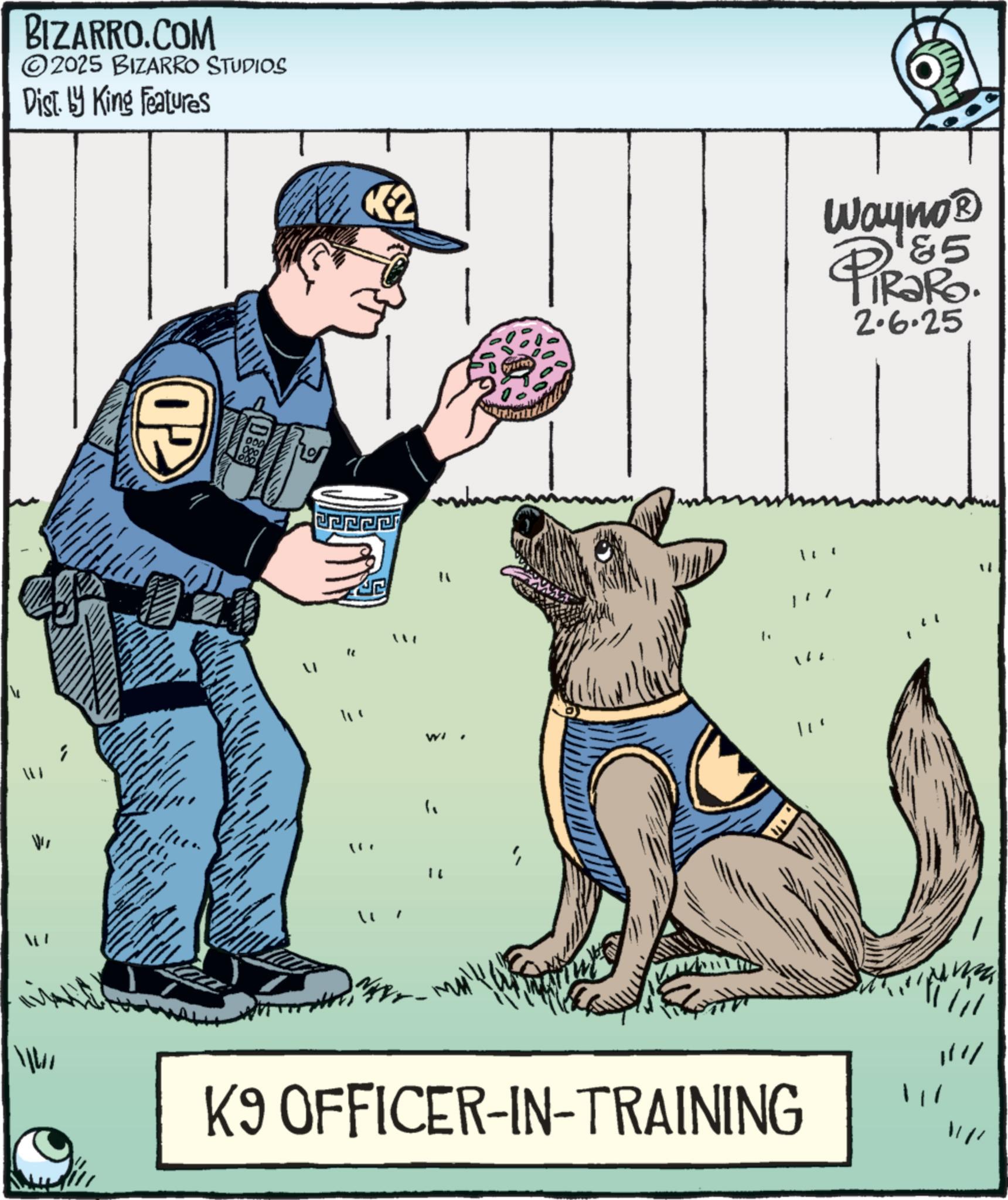 Security OCR: BIZARRO.COM 2025 BIZARRO STUDIOS Dist. by King Features 02 = K2 Wayno? &5 PiRako. 2.6.25 JP ? " " " K9 OFFICER-IN-TRAINING 111/ W BIZARRO.COM 2025 BIZARRO STUDIOS Dist . by King Features 02 = K2 Wayno? & 5 PiRako . 2.6.25 JP ? " " " K9 OFFICER - IN - TRAINING 111 / W