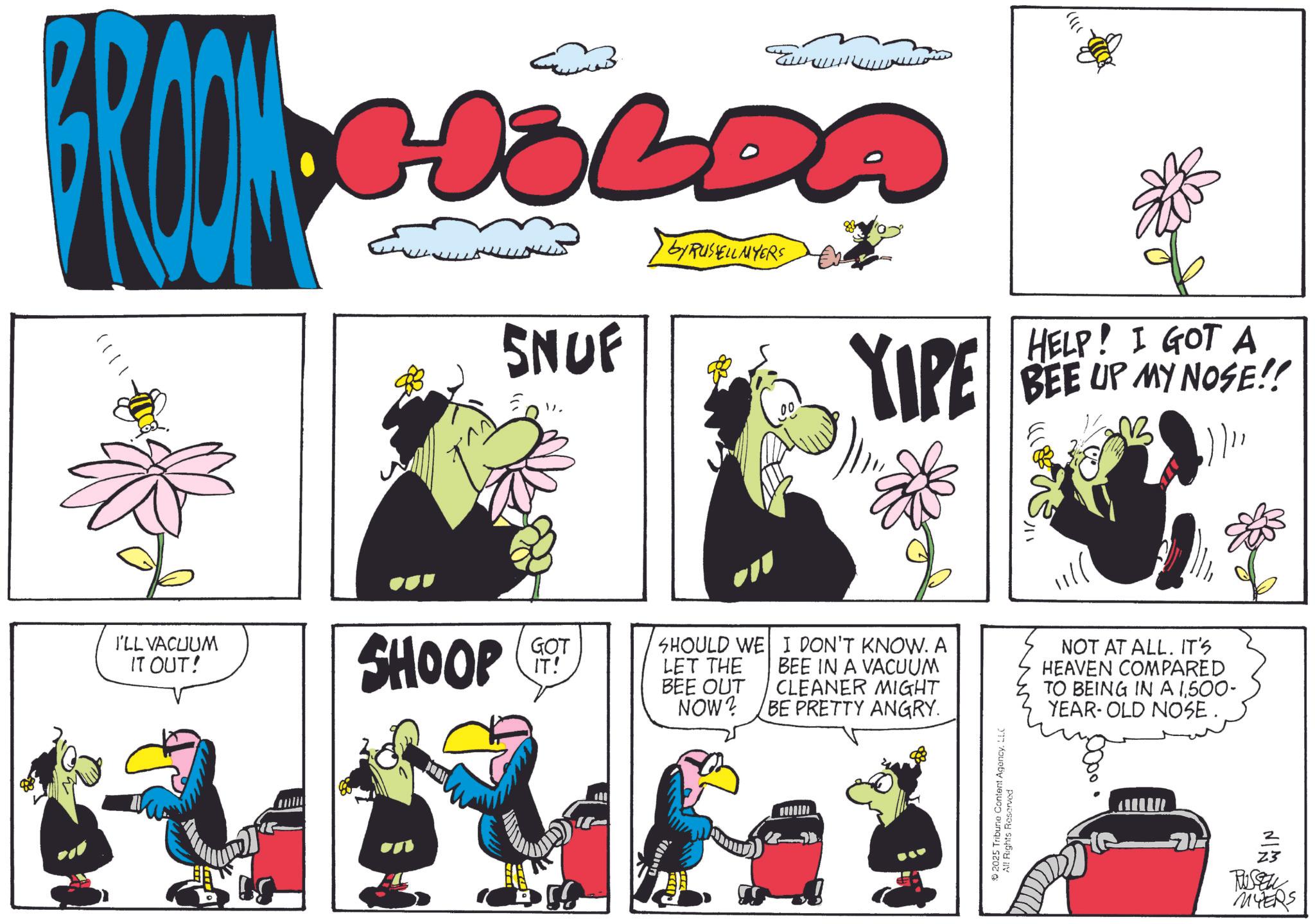 Fictional character OCR: 111) I'LL VACUUM IT OUT! HOLDA by RUSSELLMYERS SNUF SHOOP GOT IT! ?? HELP! I GOT A XIPE BEE UP MY NOSE!! ?? 1/11 SHOULD WE LET THE BEE OUT NOW? I DON'T KNOW. A BEE IN A VACUUM CLEANER MIGHT BE PRETTY ANGRY. NOT AT ALL. IT'S HEAVEN COMPARED TO BEING IN A 1500- YEAR-OLD NOSE. 2025 Tribune Content AgencyLLC All Rights Reserved 2 23 RUSSEL MYERS 111 ) I'LL VACUUM IT OUT ! HOLDA by RUSSELLMYERS SNUF SHOOP GOT IT ! ?? HELP ! I GOT A XIPE BEE UP MY NOSE !! ?? 1/11 SHOULD WE LET THE BEE OUT NOW ? I DON'T KNOW . A BEE IN A VACUUM CLEANER MIGHT BE PRETTY ANGRY . NOT AT ALL . IT'S HEAVEN COMPARED TO BEING IN A 1500- YEAR - OLD NOSE . 2025 Tribune Content AgencyLLC All Rights Reserved 2 23 RUSSEL MYERS