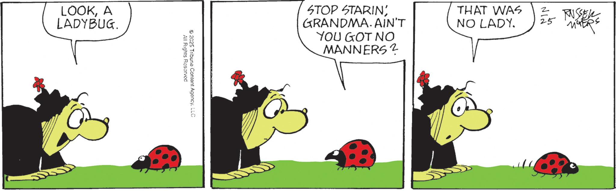 Happiness OCR: LOOKA LADYBUG. ? 2025 All Rights Reserved Tribune Content AgencyLLC STOP STARINGRANDMA. AIN'T YOU GOT NO MANNERS? THAT WAS NO LADY. 2 RUSSER 25 LOOKA LADYBUG . ? 2025 All Rights Reserved Tribune Content AgencyLLC STOP STARINGRANDMA . AIN'T YOU GOT NO MANNERS ? THAT WAS NO LADY . 2 RUSSER 25
