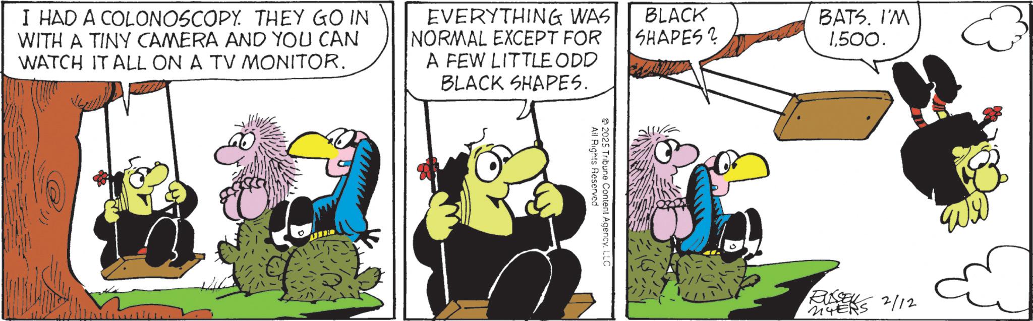 Comic book OCR: I HAD A COLONOSCOPY. THEY GO IN WITH A TINY CAMERA AND YOU CAN WATCH IT ALL ON A TV MONITOR. EVERYTHING WAS NORMAL EXCEPT FOR A FEW LITTLE ODD BLACK SHAPES. BLACK SHAPES ? BATS. I'M 1500. 0 www All Rights Reserved 2025 Tribune Content AgencyLLC WH RUSSEL MYERS 2/12 I HAD A COLONOSCOPY . THEY GO IN WITH A TINY CAMERA AND YOU CAN WATCH IT ALL ON A TV MONITOR . EVERYTHING WAS NORMAL EXCEPT FOR A FEW LITTLE ODD BLACK SHAPES . BLACK SHAPES ? BATS . I'M 1500 . 0 www All Rights Reserved 2025 Tribune Content AgencyLLC WH RUSSEL MYERS 2/12