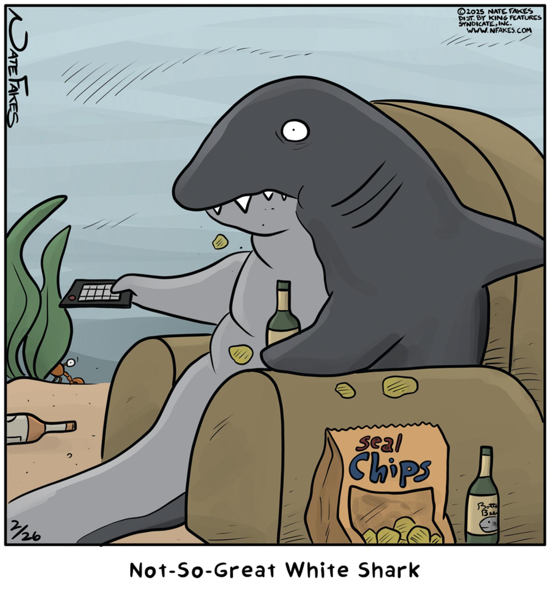 Fictional character OCR: DATE FAKES 2/26 2025 NATE FAKES DIST. BY KING FEATURES SYNDICATEINC. WWW.NFAKES.COM Seal Chips Botto Bu Not-So-Great White Shark IN DATE FAKES 2/26 2025 NATE FAKES DIST . BY KING FEATURES SYNDICATEINC . WWW.NFAKES.COM Seal Chips Botto Bu Not - So - Great White Shark IN