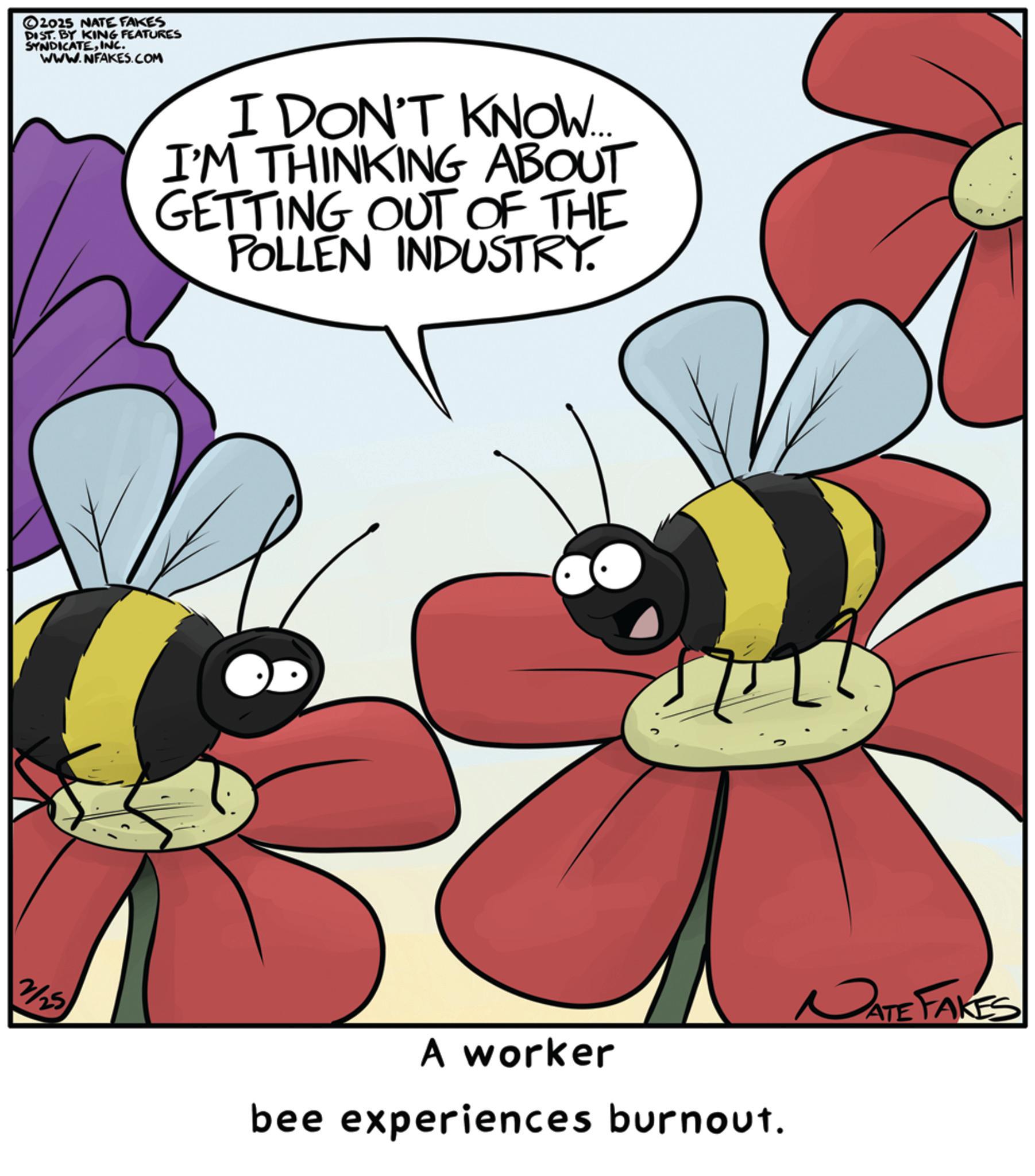 Hymenopterans OCR: ©2015 NATE FAKES DIST. BY KING FEATURES SYNDICATEINC. WWW.NFAKES.COM 2/25 I DON'T KNOW... I'M THINKING ABOUT GETTING OUT OF THE POLLEN INDUSTRY. A worker bee experiences burnout. NATE FAKES © 2015 NATE FAKES DIST . BY KING FEATURES SYNDICATEINC . WWW.NFAKES.COM 2/25 I DON'T KNOW ... I'M THINKING ABOUT GETTING OUT OF THE POLLEN INDUSTRY . A worker bee experiences burnout . NATE FAKES