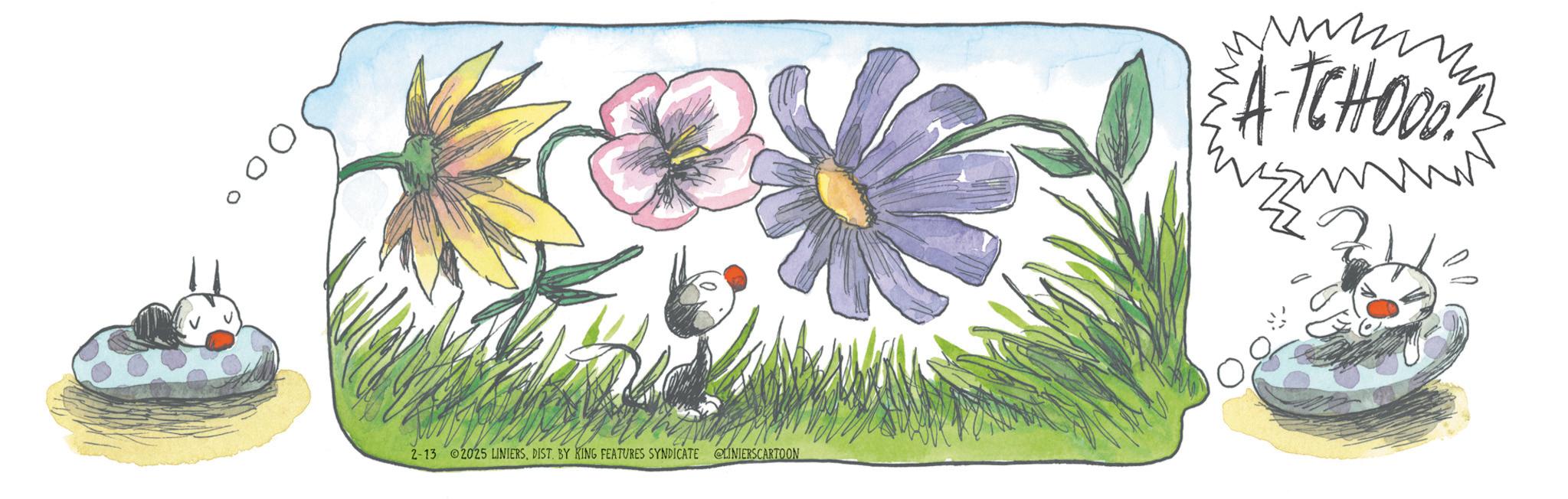 Pollinator OCR: 2-13 2025 LINIERSDIST. BY KING FEATURES SYNDICATE @LINIERSCARTOON www A-TCHOOO? 2-13 2025 LINIERSDIST . BY KING FEATURES SYNDICATE @LINIERSCARTOON www A - TCHOOO ?
